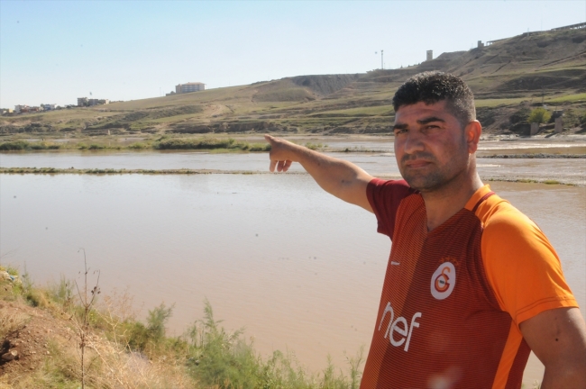 Dicle Nehri'ndeki adacıkta 10 gündür mahsur kalan eşek kurtarıldı
